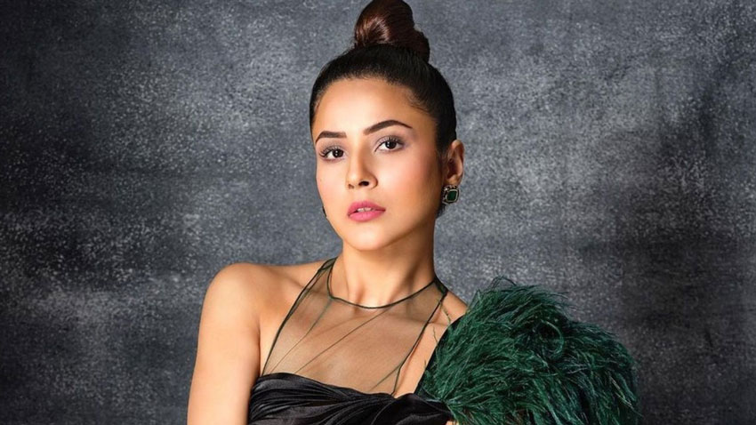 পরকীয়া নিয়ে মন্তব্য করে তোপের মুখে শেহনাজ গিল